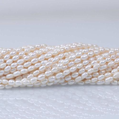 Perles d'eau douce de culture de riz, perle d'eau douce cultivée, DIY, blanc, 3-4MM, Vendu par PC