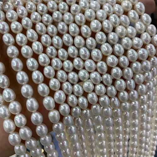 Perles d'eau douce de culture de riz, perle d'eau douce cultivée, DIY, blanc, 7-8MM, Vendu par brin