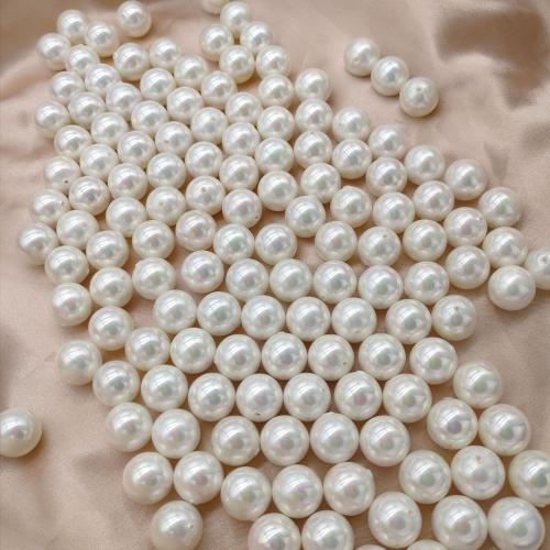 South Sea Shell Beads, Shell Pearl, Round, DIY 3-12mm [