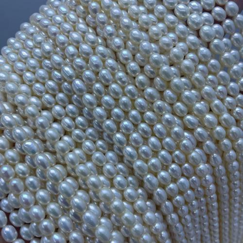 Perles d'eau douce de culture de riz, perle d'eau douce cultivée, DIY, blanc, 5-6mm cm, Vendu par brin