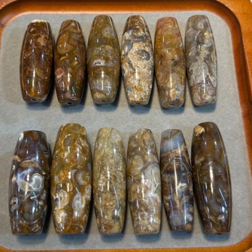 Trumpet Shell Fossil Beads, natural & DIY, 45mm 