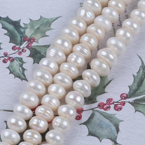 Naturel d'eau douce perles, perle d'eau douce cultivée, Plat rond, DIY, blanc, 11-12mm cm, Vendu par brin