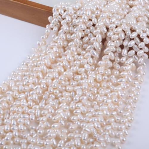 Perles d'eau douce de culture de riz, perle d'eau douce cultivée, DIY, blanc, 6-7mm cm, Vendu par brin