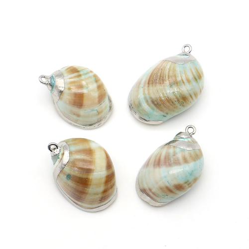 Natürlichen Muschel -Anhänger, mit Eisen, Strandschnecke, silberfarben plattiert, DIY, gemischte Farben, 21x28mm-23x33mm, verkauft von PC