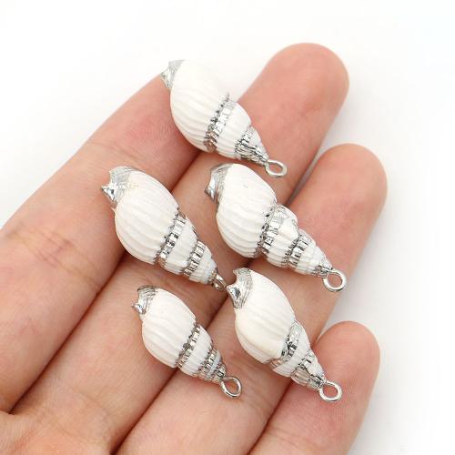 Trompete Shell Messing Anhänger, Muschel, mit Eisen, Strandschnecke, silberfarben plattiert, DIY, gemischte Farben, 10-26mm, verkauft von PC