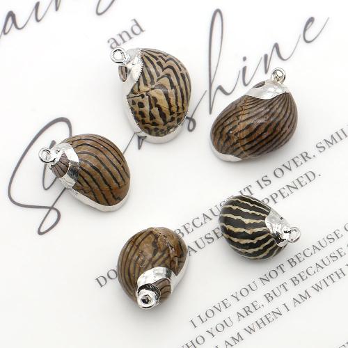 Trompete Shell Messing Anhänger, Muschel, mit Eisen, Strandschnecke, silberfarben plattiert, DIY, gemischte Farben, 12x20mm-17x23mm, verkauft von PC