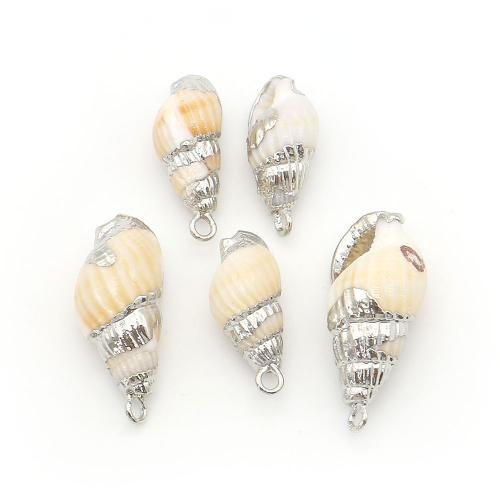 Trompete Shell Messing Anhänger, Muschel, mit Eisen, Strandschnecke, silberfarben plattiert, DIY, gemischte Farben, 9-26mm, verkauft von PC
