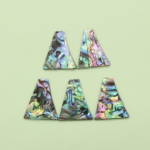 Cabujón de concha de abulón, Nácar de Abulón, Bricolaje, color mixto, Vendido por UD