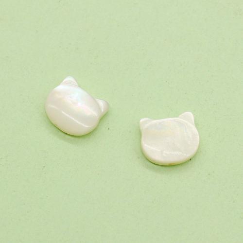 Бусы из морских ракушек, Ракушка, Кошка, DIY, разноцветный, продается PC