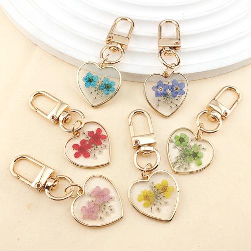 Zinc Alloy Key Chain Jewelry, Dried Flower, with Epoxy Sticker & Zinc Alloy, gold color plated, fashion jewelry 