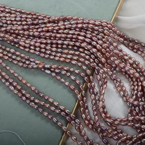 Perles d'eau douce de culture de riz, perle d'eau douce cultivée, DIY, violet, 3.5-4mm cm, Vendu par brin