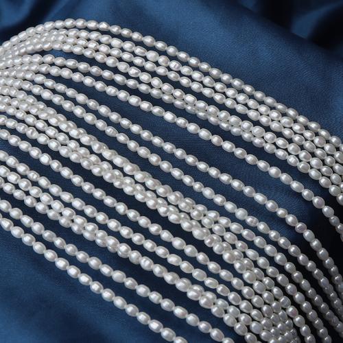 Perles d'eau douce de culture de riz, perle d'eau douce cultivée, DIY, blanc, 3-3.5mm cm, Vendu par brin