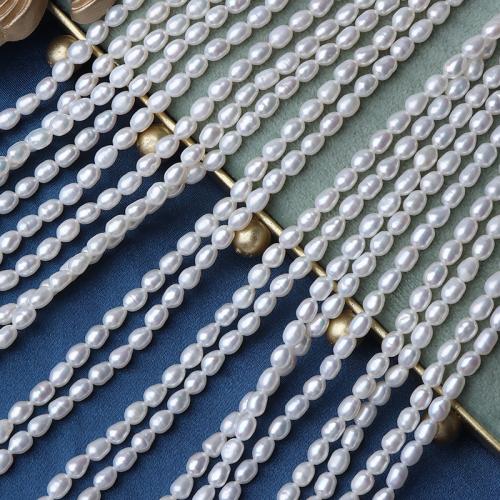 Perles d'eau douce de culture de riz, perle d'eau douce cultivée, DIY, blanc, 3.8-4mm cm, Vendu par brin