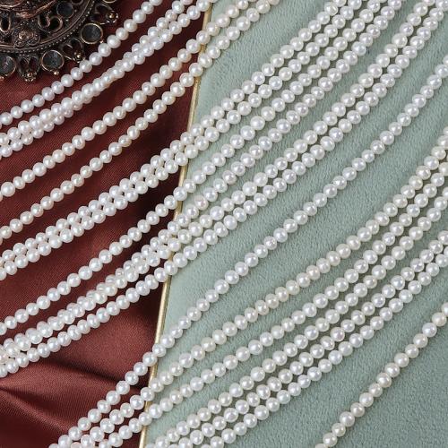 Naturel d'eau douce perles, perle d'eau douce cultivée, Légèrement rond, DIY, blanc, 3-3.5mm cm, Vendu par brin
