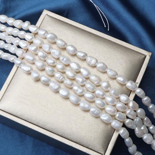 Perles de culture d'eau douce Keishi, perle d'eau douce cultivée, Baroque, DIY, blanc, 6-7mm cm, Vendu par brin