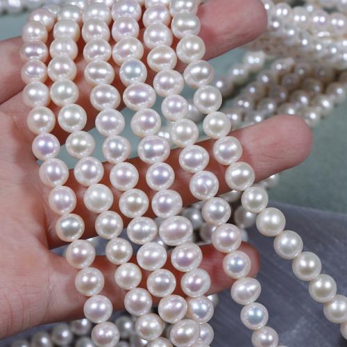 Perle comme Pommes de terre perles d'eau douce, perle d'eau douce cultivée, pomme de terre, DIY, blanc, 7mm cm, Vendu par brin