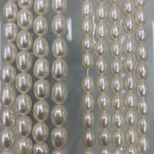 Perles d'eau douce de culture de riz, perle d'eau douce cultivée, Placage de couleur d'or, DIY, blanc, 5-8mm cm, Vendu par brin