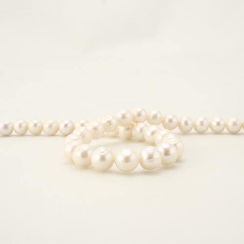 Naturel d'eau douce perles, perle d'eau douce cultivée, Rond, bijoux de mode, blanc, 8-9mm cm, Vendu par brin