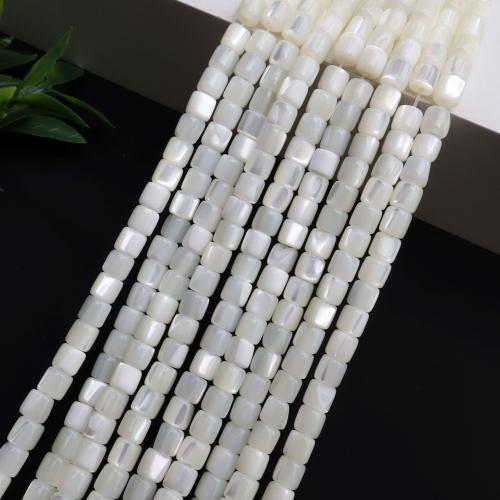 Turbanschnecken Perlen, DIY, weiß, Länge:38 cm, verkauft von Strang