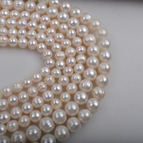 Naturel d'eau douce perles, perle d'eau douce cultivée, Légèrement rond, DIY, blanc, 3-11mm cm, Vendu par brin