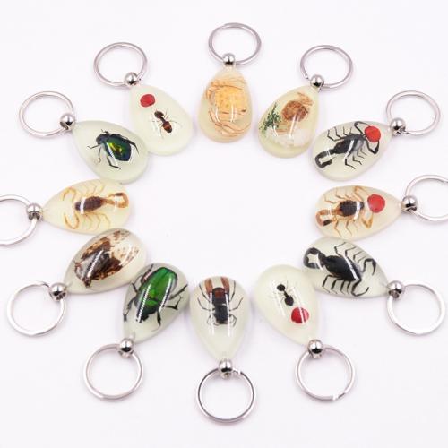 Resin Key Chain, with Zinc Alloy, epoxy gel  & luminated 