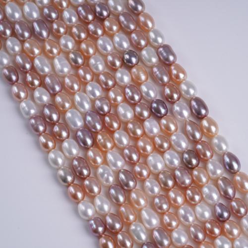 Perles d'eau douce de culture de riz, perle d'eau douce cultivée, DIY, plus de couleurs à choisir cm, Vendu par brin