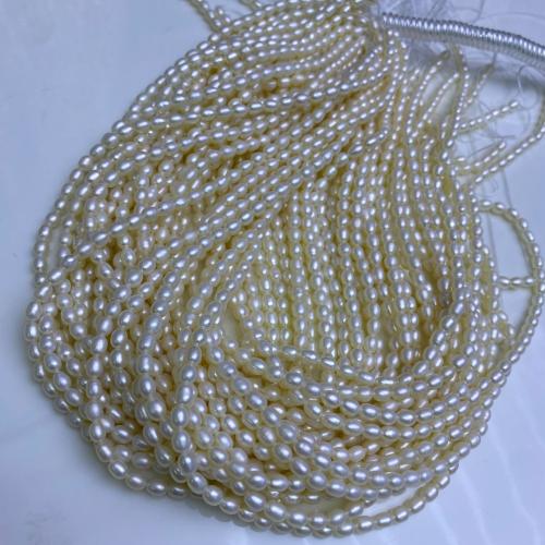 Perles d'eau douce de culture de riz, perle d'eau douce cultivée, DIY, blanc, 2.5-3.5mm cm, Vendu par brin