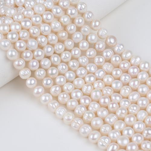 Perle comme Pommes de terre perles d'eau douce, perle d'eau douce cultivée, Légèrement rond, DIY, blanc, 11-13mm cm, Vendu par brin
