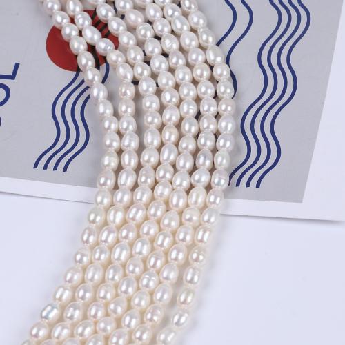 Perles d'eau douce de culture de riz, perle d'eau douce cultivée, DIY, blanc, 3.5-4.5mm cm, Vendu par brin