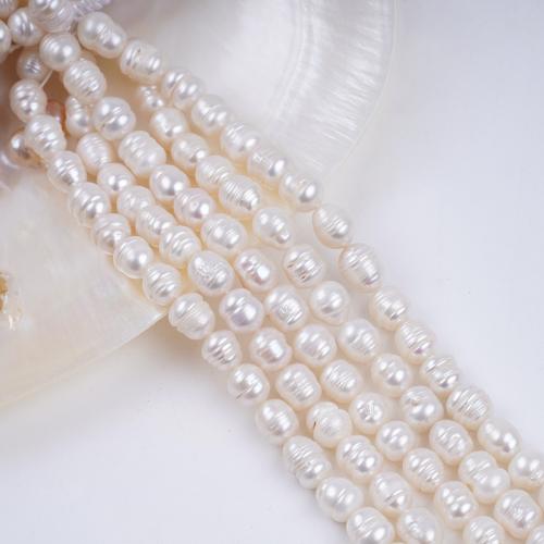 Perles d'eau douce de culture de riz, perle d'eau douce cultivée, DIY, blanc, 7-8mm cm, Vendu par brin