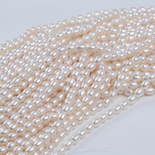 Perles d'eau douce de culture de riz, perle d'eau douce cultivée, DIY, blanc, 3-9mm cm, Vendu par brin