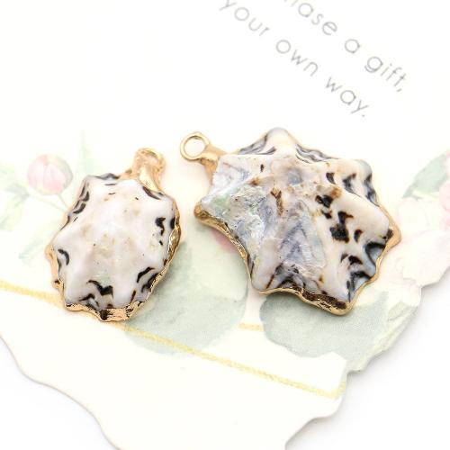 Brass Shell Pendants, with Brass, plated, DIY, mixed colors - 