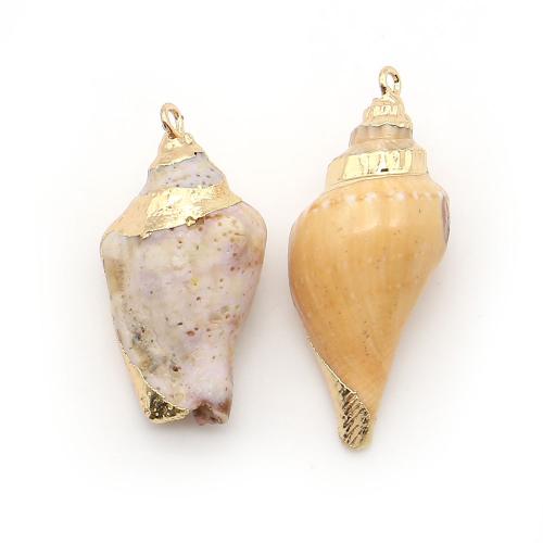 Brass Shell Pendants, with Brass, Conch, plated, DIY, mixed colors - 