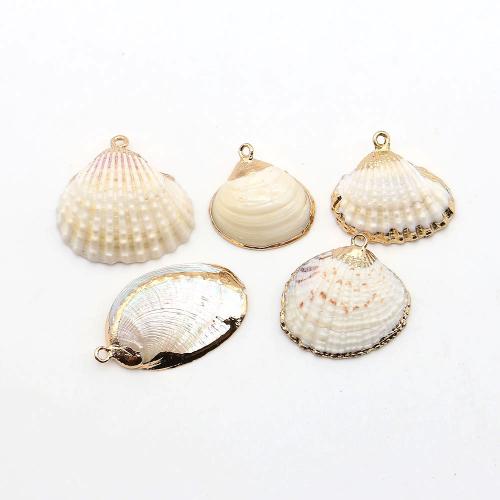 Brass Shell Pendants, with Brass, plated, DIY 
