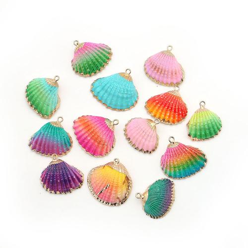 Brass Shell Pendants, with Brass, plated, dyed & DIY - 