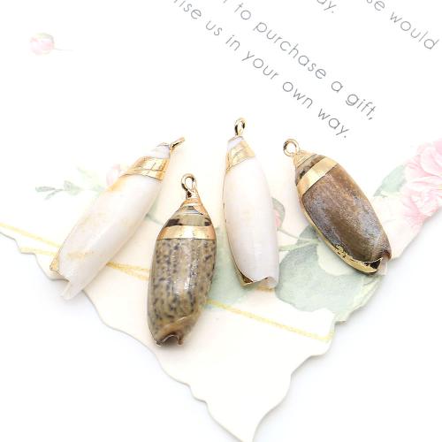 Brass Shell Pendants, with Brass, Conch, plated, DIY, mixed colors - 