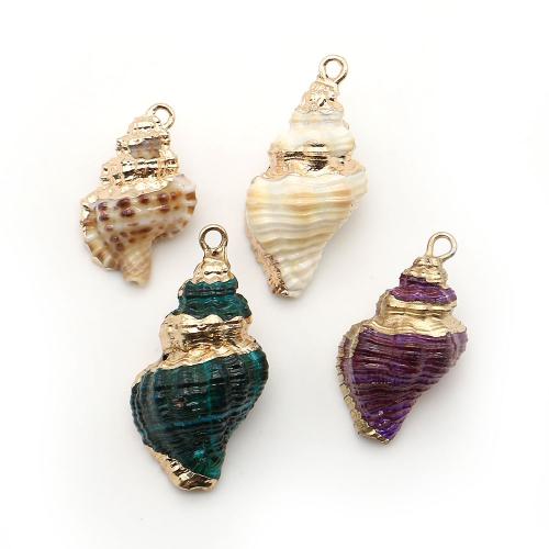 Brass Shell Pendants, with Brass, Conch, plated, DIY - 