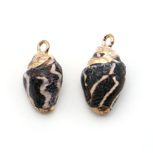 Brass Shell Pendants, with Brass, Conch, plated, DIY, mixed colors - 