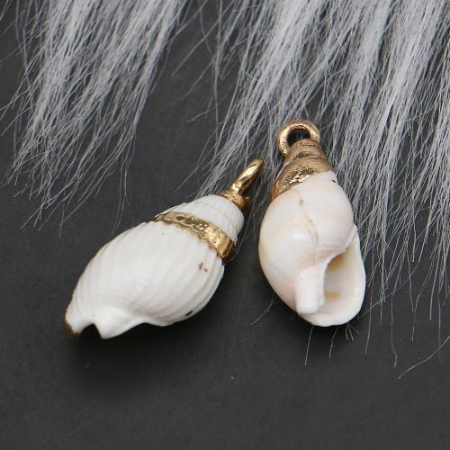 Brass Shell Pendants, with Brass, Conch, plated, DIY, mixed colors - 