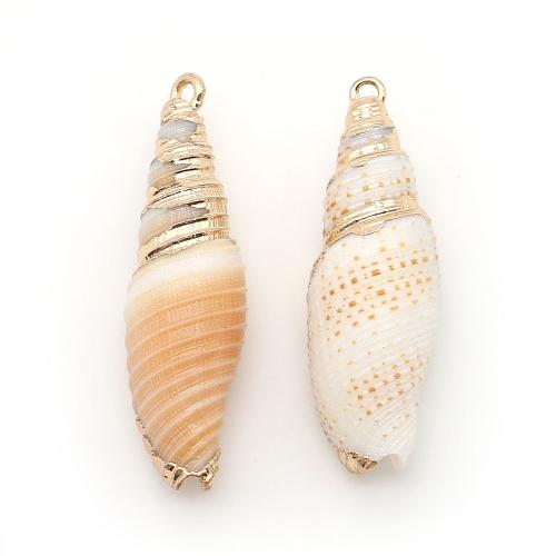 Brass Shell Pendants, with Brass, Conch, plated, DIY, mixed colors - 
