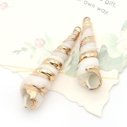 Brass Shell Pendants, with Brass, Conch, DIY, mixed colors - 
