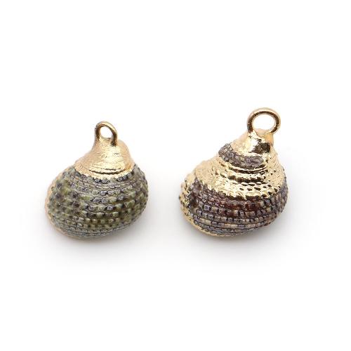 Brass Shell Pendants, with Brass, Conch, plated, DIY, mixed colors - 