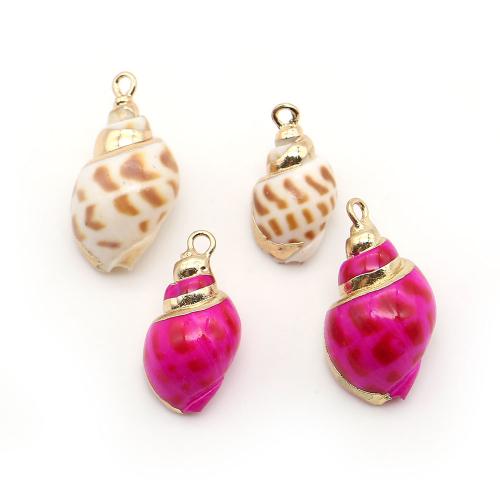 Brass Shell Pendants, with Brass, Conch, plated, dyed & DIY, mixed colors - 
