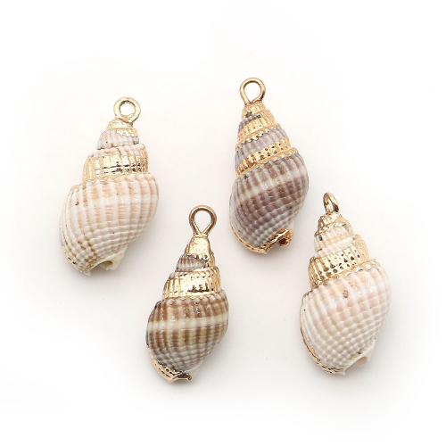 Brass Shell Pendants, with Brass, Conch, plated, DIY - 