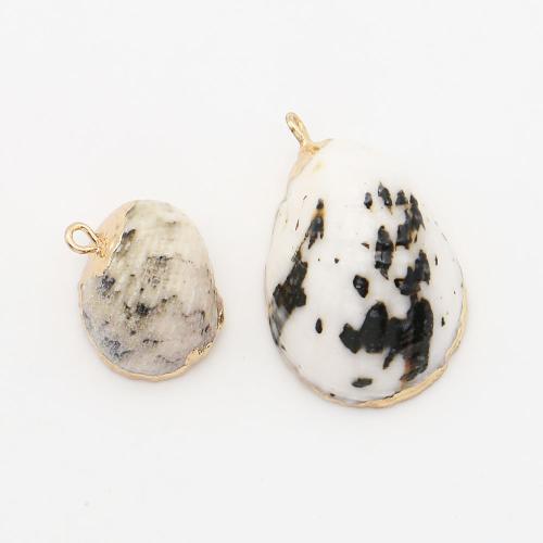 Brass Shell Pendants, with Brass, Conch, plated, DIY, mixed colors - 