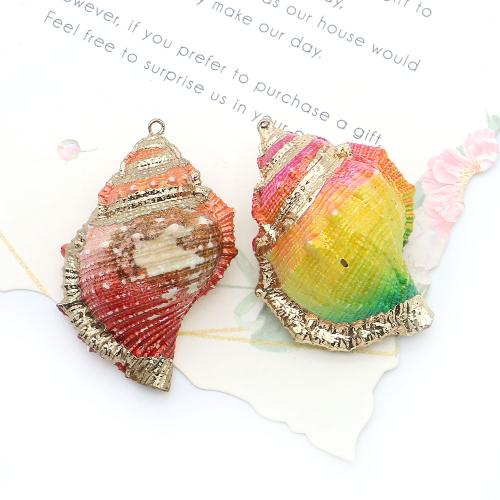 Brass Shell Pendants, with Brass, Conch, plated, DIY - 