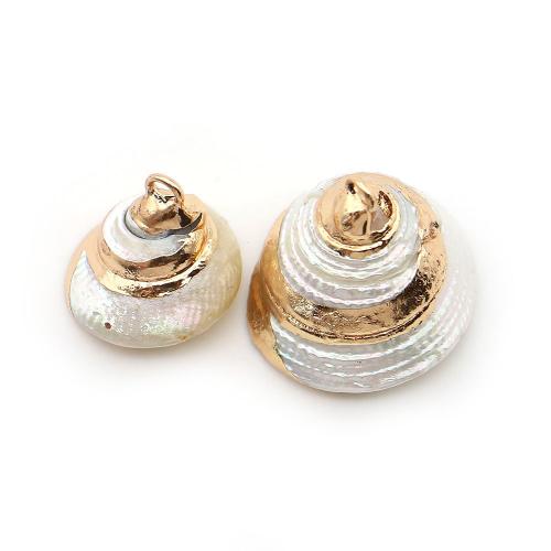 Brass Shell Pendants, with Brass, Conch, plated, DIY - 