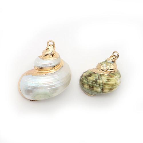 Brass Shell Pendants, with Brass, Conch, plated, DIY 