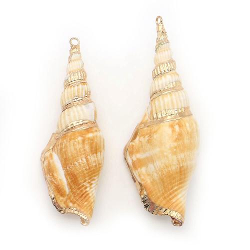 Brass Shell Pendants, with Brass, Conch, plated, DIY, mixed colors - 