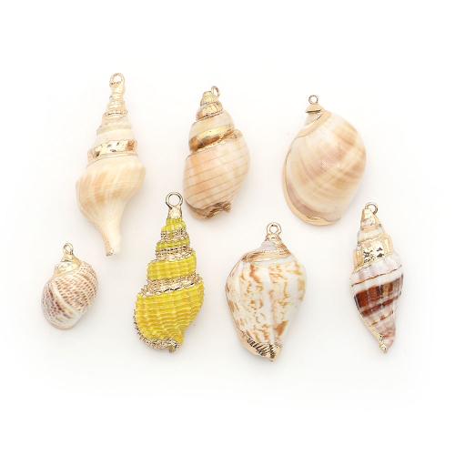 Brass Shell Pendants, with Brass, Conch, plated, DIY 